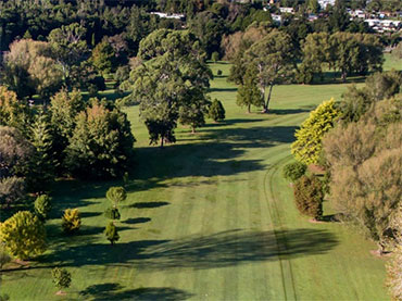 Golfing