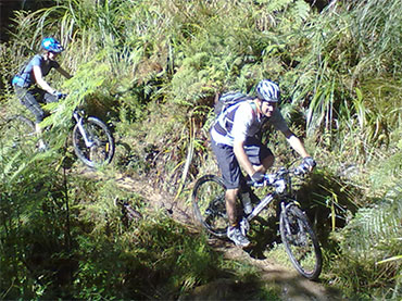 Mountain Biking