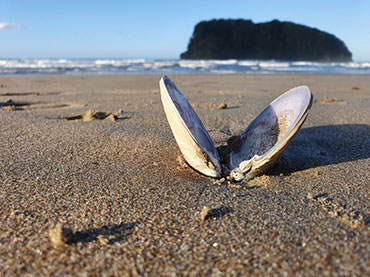 Lying on the Beach