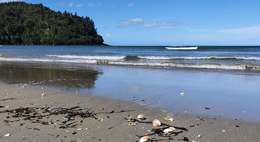Whangamata beach
