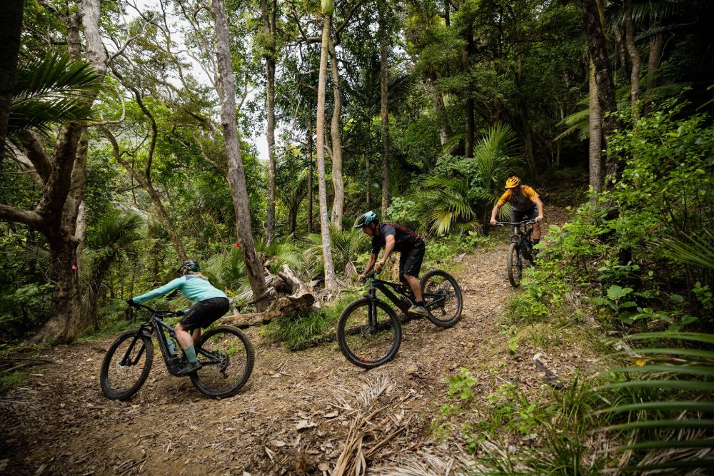 Mountain Biking